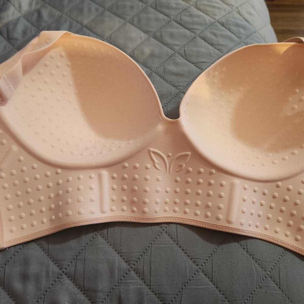 Bra - Picture 4 of 4